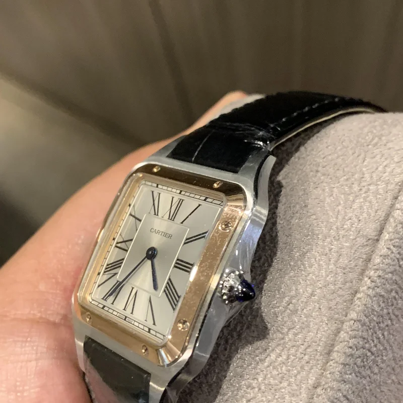 Thumb Santos Dumont Large