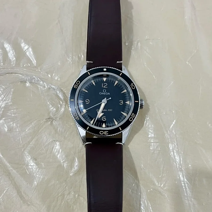 Seamaster 300 Master Chronometer Stainless Steel / Black / Strap