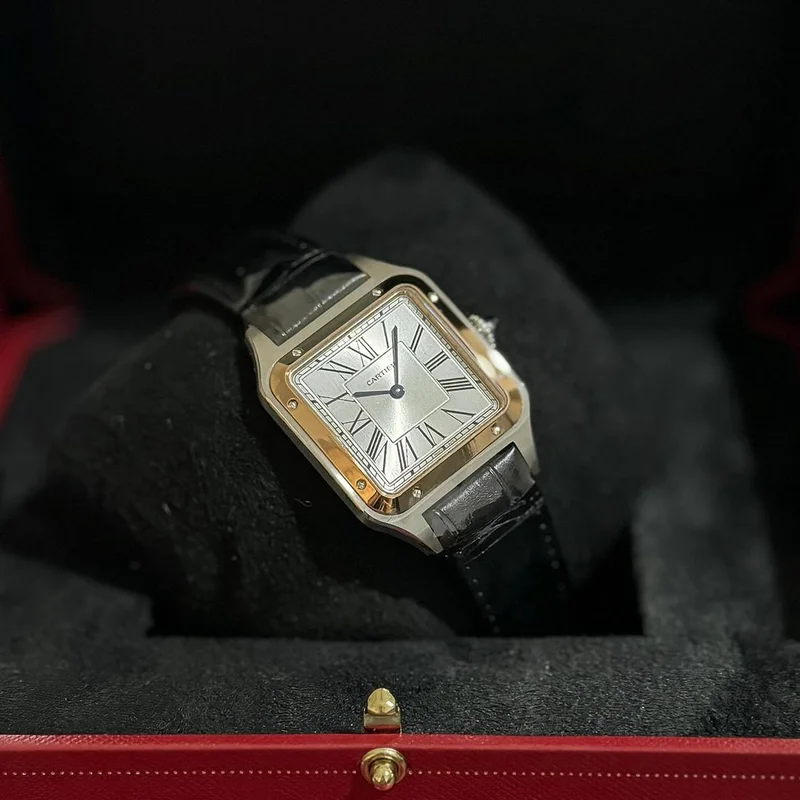 Thumb Santos Dumont Large