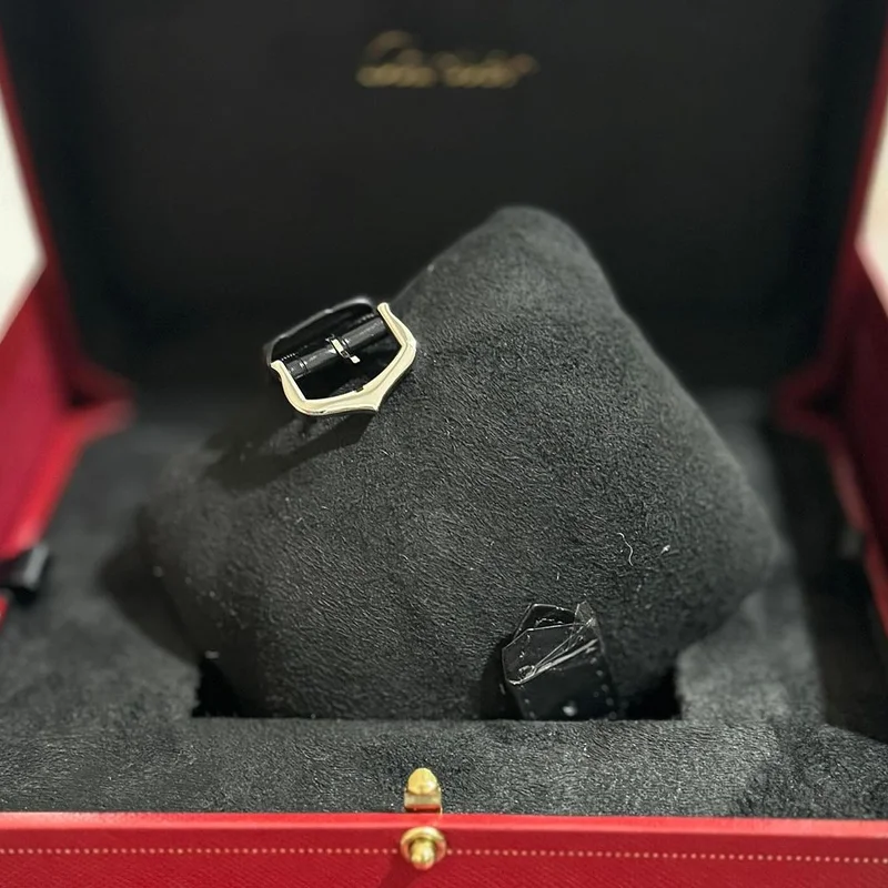 Thumb Santos Dumont Large