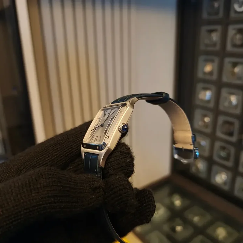 Thumb Santos Dumont Xtra Large