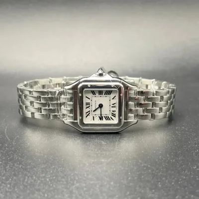 Panthere Small Stainless Steel White