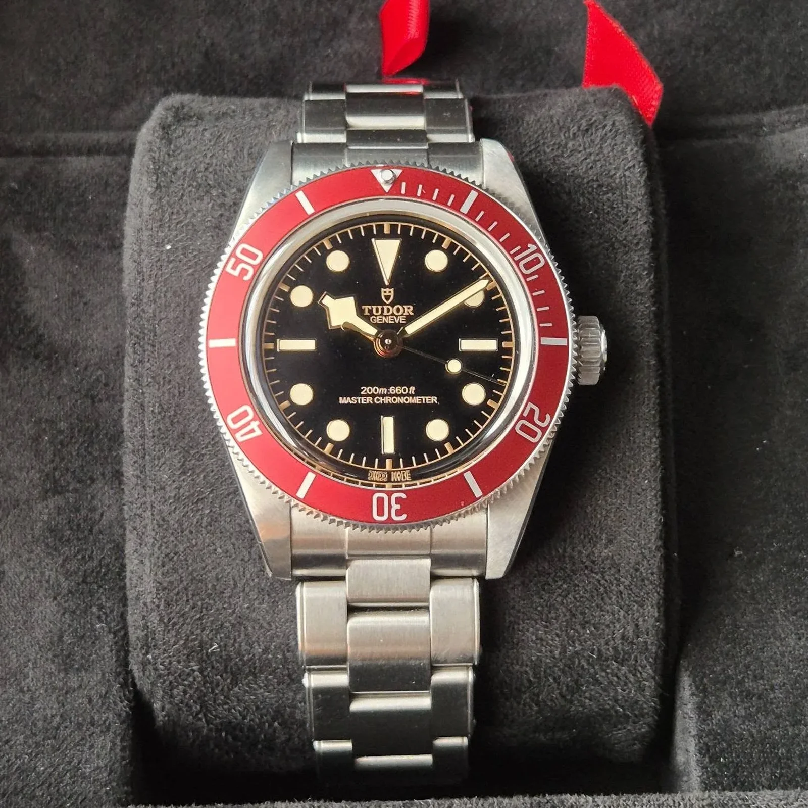 Black Bay Master Chronometer Stainless Steel - Burgundy / Black / Oyster
