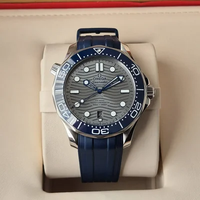 Seamaster Diver 300M Master Co-Axial 42 Stainless Steel / Grey /  Rubber