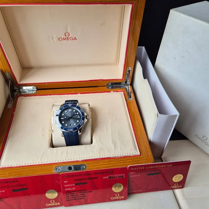 Thumb Seamaster Diver 300M Master Co-Axial 42 Stainless Steel / Grey / Rubber