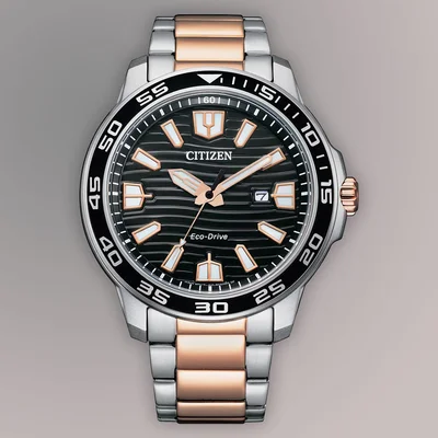 Eco Drive Mens Watches CTZ AW1524-84E