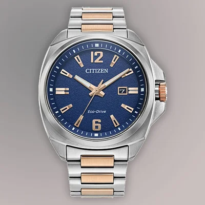 Eco Drive Endicott Men's Watches CTZ AW1726-55L