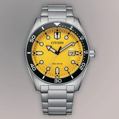 Eco Drive Mens Watches CTZ AW1760-81Z