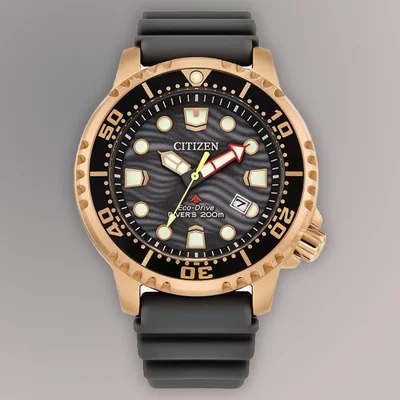 Promaster Dive Eco Drive Mens Watches CTZ BN0163-00H