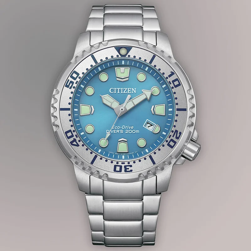 Promaster Marine Dive Men's Watches CTZ BN0165-55L