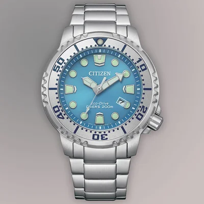 Promaster Marine Dive Men's Watches CTZ BN0165-55L