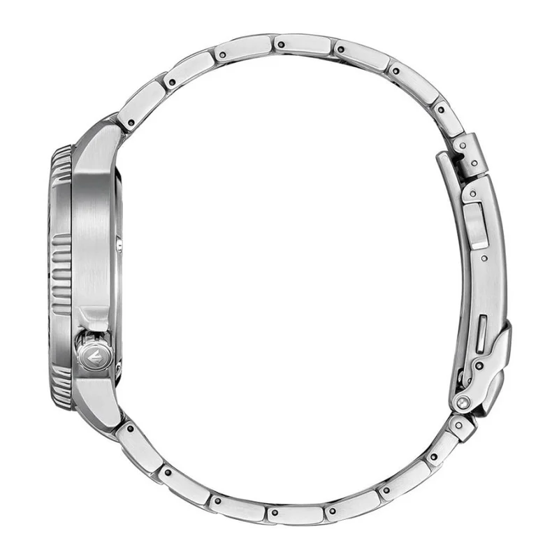 Thumb Promaster Marine Dive Men's Watches CTZ BN0165-55L