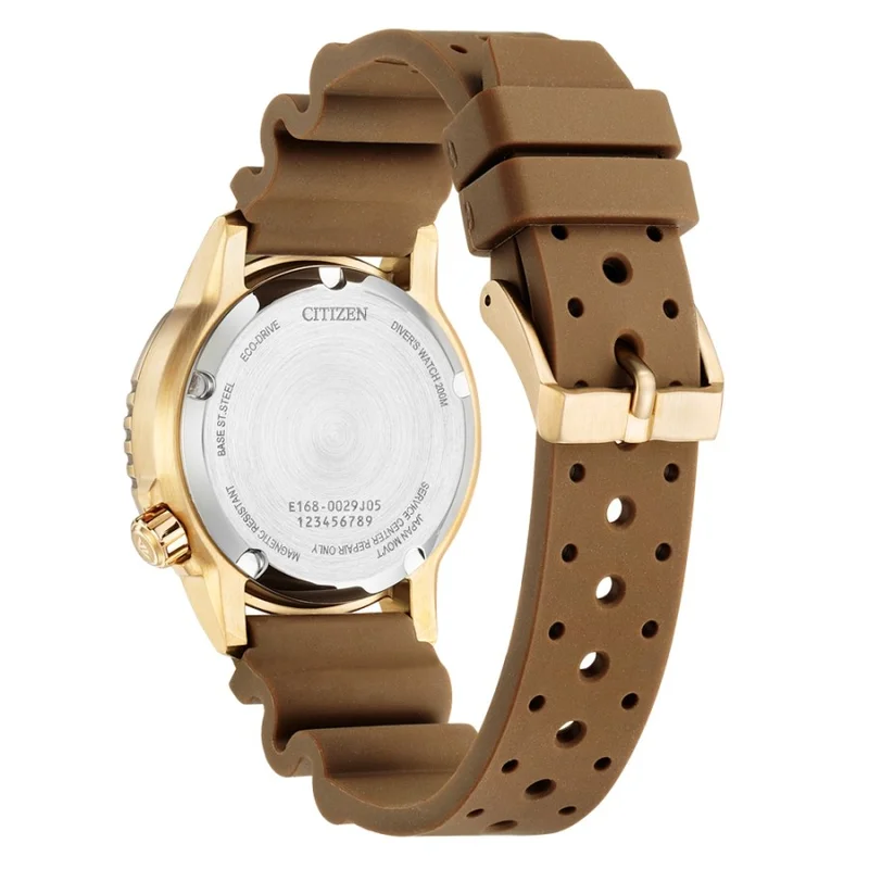 Thumb Promaster Dive Mens Watches CTZ EO2022-02A