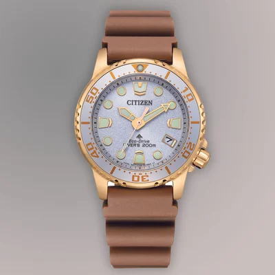 Promaster Dive Mens Watches CTZ EO2022-02A