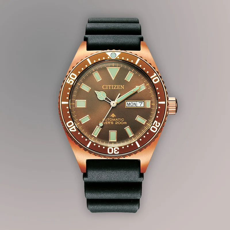 Promaster Dive Mens Watches CTZ NY0125-08W