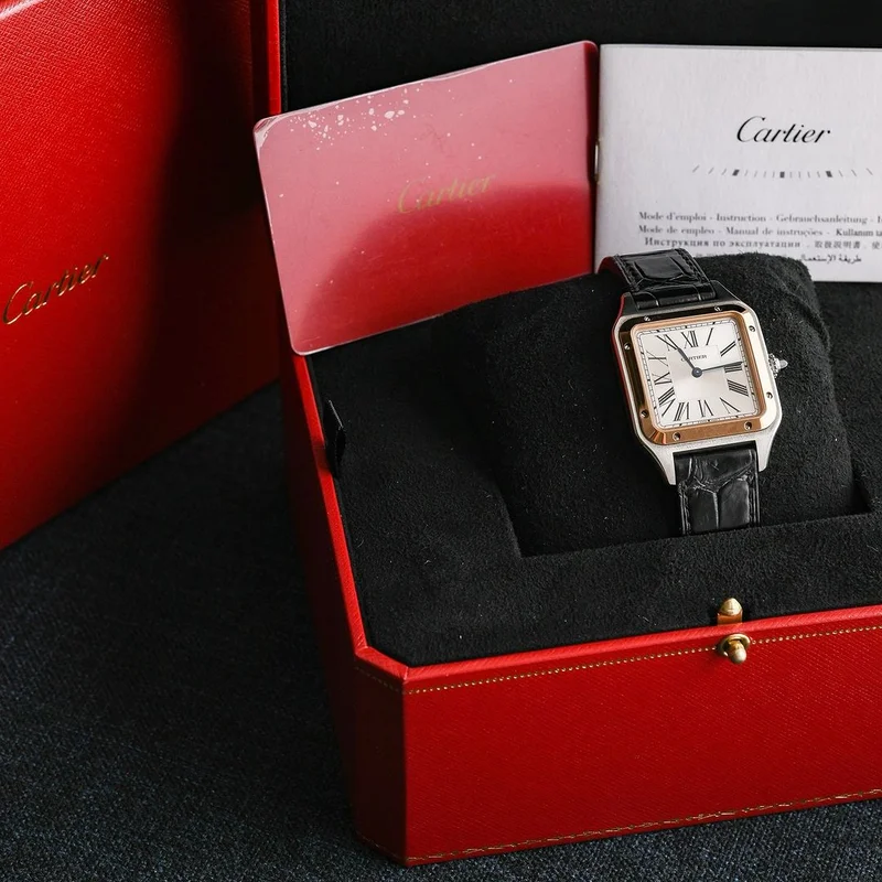 Thumb Santos Dumont Large